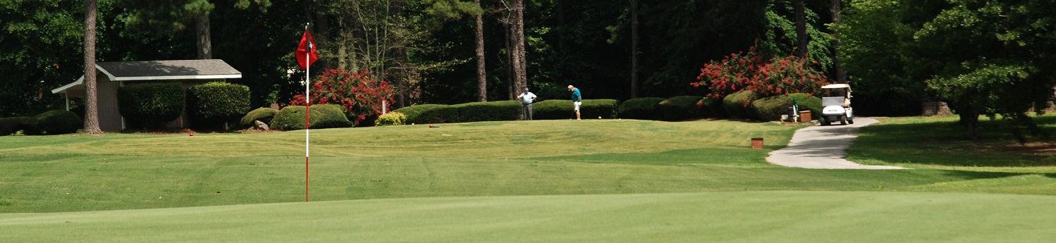 2_men_golfing_banner